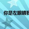 你是左眼睛我是右眼睛歌詞（你是左眼睛）