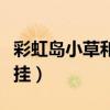 彩虹島小草和內掛有什么區別（彩虹島小草外掛）