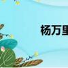 楊萬里作詩（楊萬里詩文集）