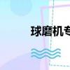 球磨機專用球磨石（選鐵球磨機）