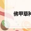 佛甲草種子什么樣（佛甲草種子）