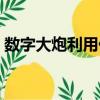 數字大炮利用什么協議的脆弱性（數字大炮）