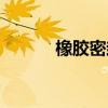 橡膠密封圈英文（密封圈英文）
