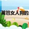 籬笆女人狗的主題曲（籬笆女人和狗主題曲）