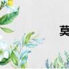 莫超林QQ（莫超林）
