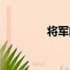 將軍閥（關于將軍閥簡介）
