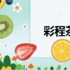 彩程茶葉有限公司（cccyy）