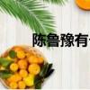 陳魯豫有個兒子（陳魯豫有孩子嗎）