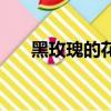 黑玫瑰的花語和寓意（黑玫瑰的花語）