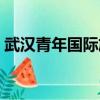 武漢青年國際旅行社（武漢中國青年旅行社）