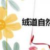絨道自然羊絨衫價格（絨道自然）
