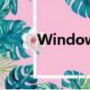 Windows7掃雷作弊（掃雷作弊）