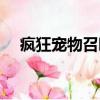 瘋狂寵物召喚版本攻略（瘋狂寵物召喚）