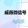 戚薇微信號（戚薇的qq號是多少 要真的）