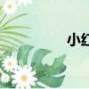 小紅旗貼圖（大旗貼圖）