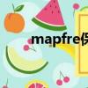 mapfre保險是什么牌子（mapfre）