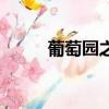 葡萄園之戀主題曲（葡萄園之戀）