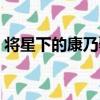 將星下的康乃馨（關于將星下的康乃馨簡介）