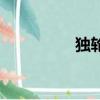 獨輪鞋怎么玩（獨輪鞋）