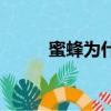 蜜蜂為什么不能打（打蜜蜂失敗）