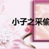 小子之采偷雙圣txt（小子之偷采雙圣）
