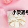 小靈通號碼幾位數（小靈通號碼）