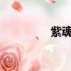 紫魂傳說txt（紫魂傳說）