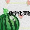 數字化實驗室是什么（數字化實驗室）