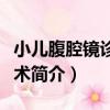 小兒腹腔鏡診療技術（關于小兒腹腔鏡診療技術簡介）