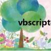 vbscript循環語句（vbscript循環）
