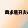 鳳求凰丑妻難為番外（鳳求凰 丑妻難為）