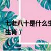 七老八十是什么生肖,滔滔不絕是什么生肖（七老八十是什么生肖）