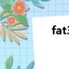 fat32 ntfs exfat的區別