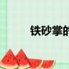 鐵砂掌的克星是什么功夫（鐵砂）