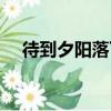 待到夕陽落下（關于待到夕陽落下介紹）