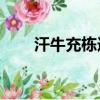 汗牛充棟造句10字（汗牛充棟造句）