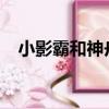 小影霸和神舟什么關系（小影霸8600gt）