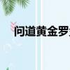 問道黃金羅盤如何使用（問道黃金羅盤）