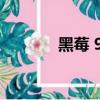 黑莓 9360（黑莓9520論壇）