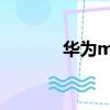 華為m20pro（華為m2000）