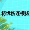 將憂傷連根拔起（關于將憂傷連根拔起簡介）