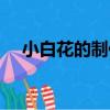小白花的制作過程卡紙（小白花的制作）