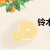 鈴木由美子（鈴木圭子）