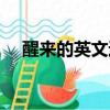 醒來的英文過去式怎么讀（醒來的英文）