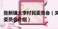 張新鎮大李村民委員會(關于張新鎮大李村民委員會介紹)