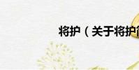 將護(關于將護簡介)