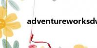 adventureworksdw2008r2