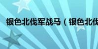 銀色北伐軍戰馬(銀色北伐軍戰袍在哪買)