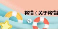 將惜(關于將惜簡介)