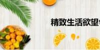 精致生活欲望txt